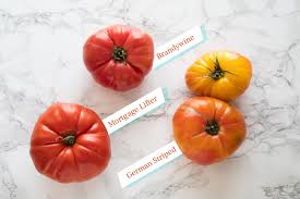 [2908] Tomato Replica Small